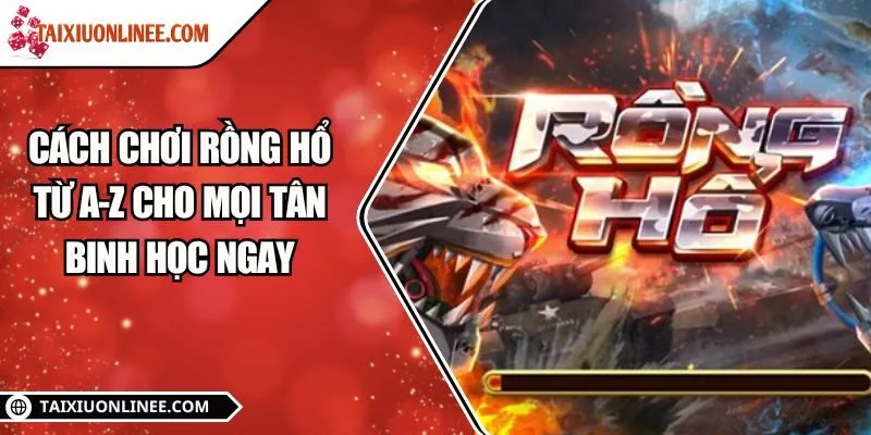 Cách chơi Rồng hổ từ A-Z với nhiều kiểu cược cực hay