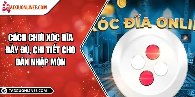 Cách chơi xóc đĩa đầy đủ, chi tiết cho dân nhập môn