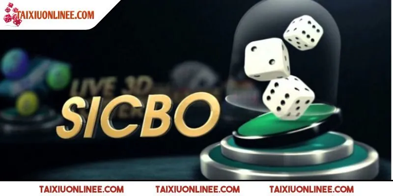 Anh em thực hiện lựa chọn cửa cược theo mong muốn